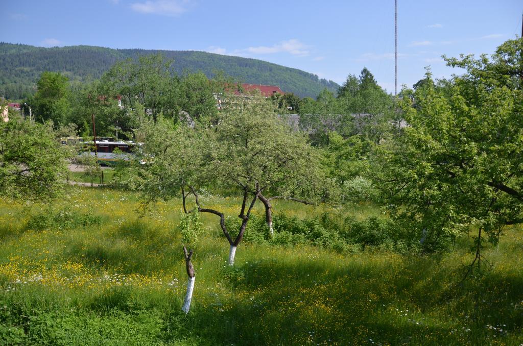 民宿 Rosinka